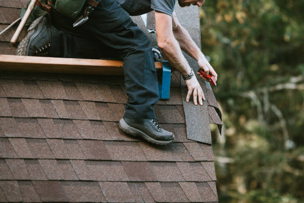 Best Roof Gutter Cleaning  in Urbana, MD